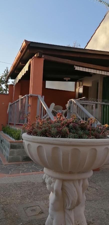 Casa Vacanze Mimose Palinuro Dış mekan fotoğraf