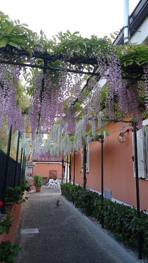 Casa Vacanze Mimose Palinuro Dış mekan fotoğraf