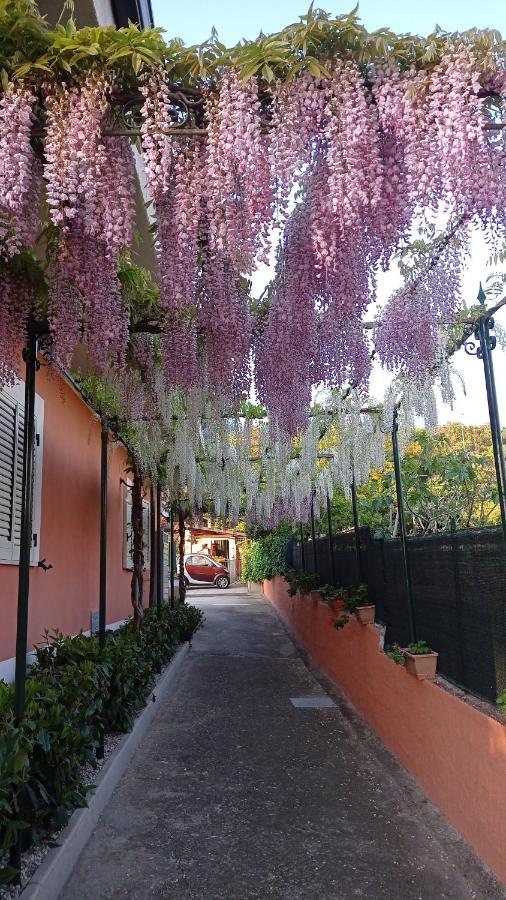 Casa Vacanze Mimose Palinuro Dış mekan fotoğraf