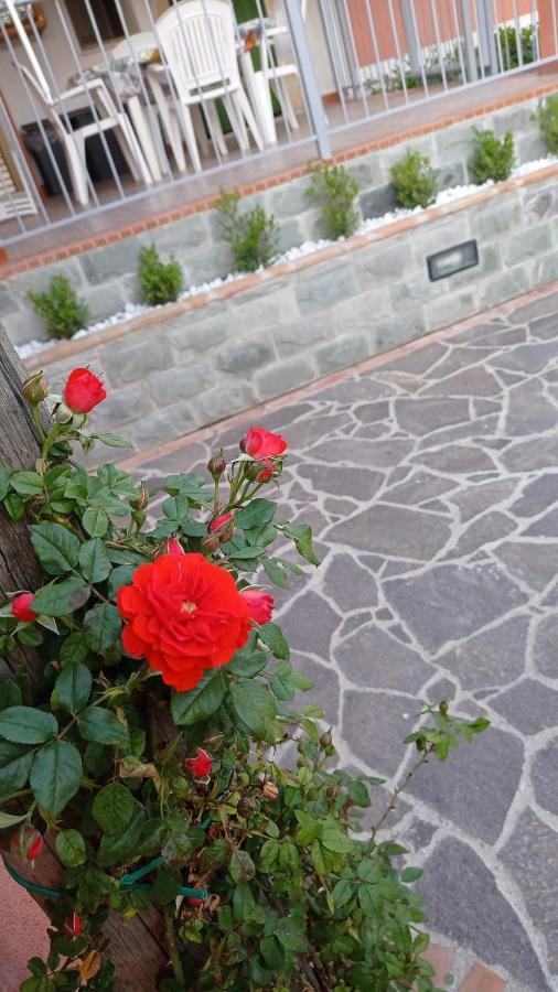 Casa Vacanze Mimose Palinuro Dış mekan fotoğraf