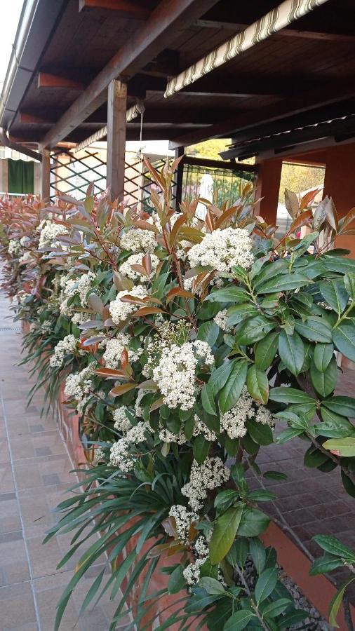 Casa Vacanze Mimose Palinuro Dış mekan fotoğraf