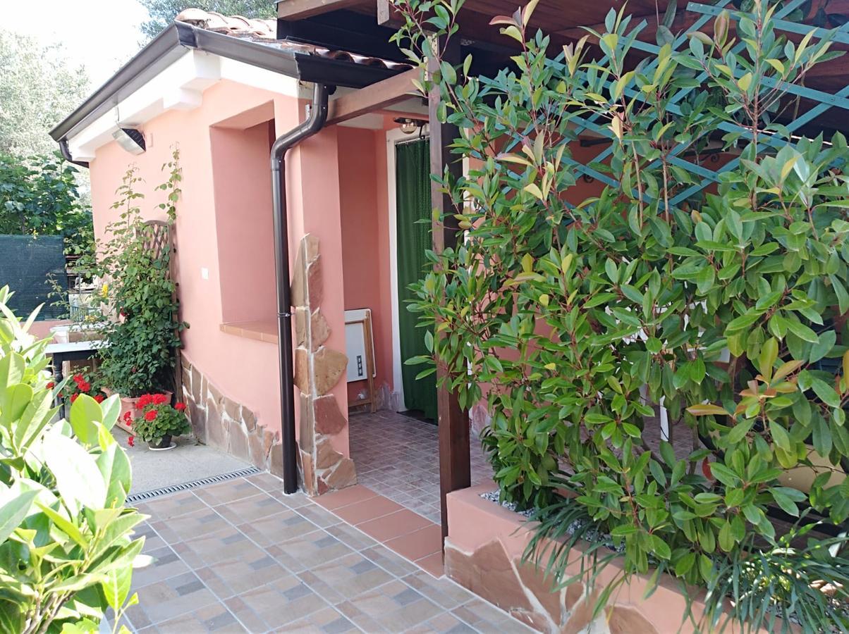 Casa Vacanze Mimose Palinuro Dış mekan fotoğraf