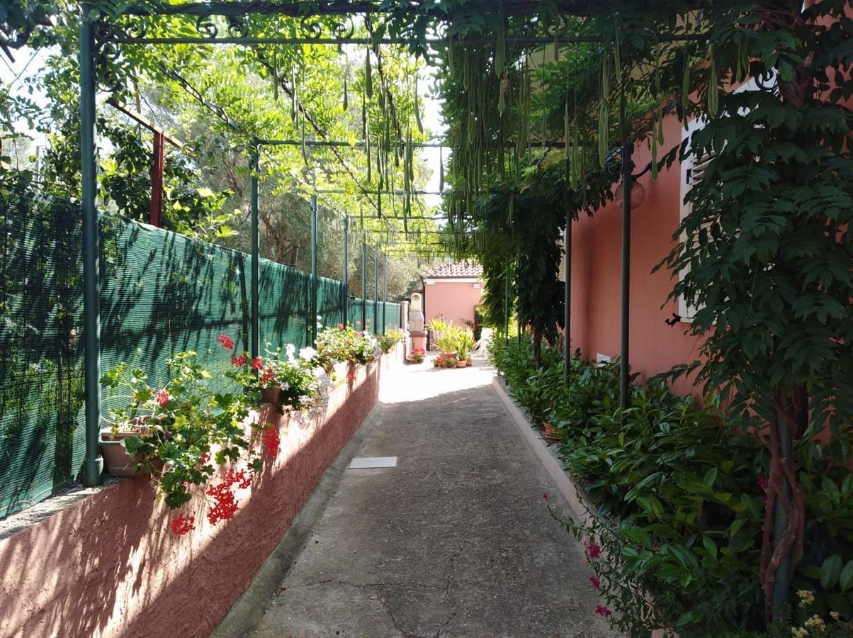 Casa Vacanze Mimose Palinuro Dış mekan fotoğraf