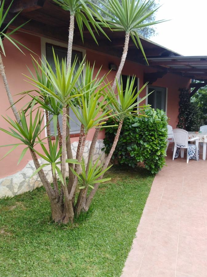 Casa Vacanze Mimose Palinuro Dış mekan fotoğraf