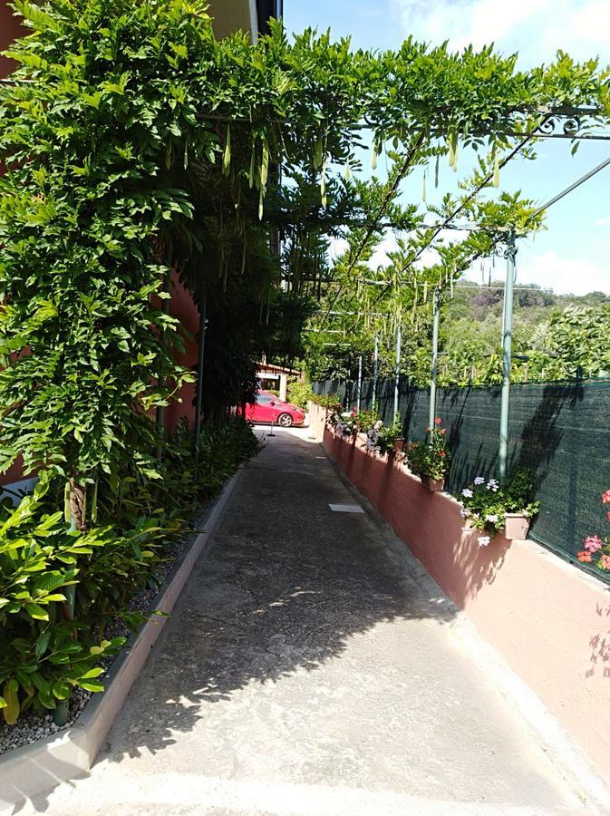 Casa Vacanze Mimose Palinuro Dış mekan fotoğraf