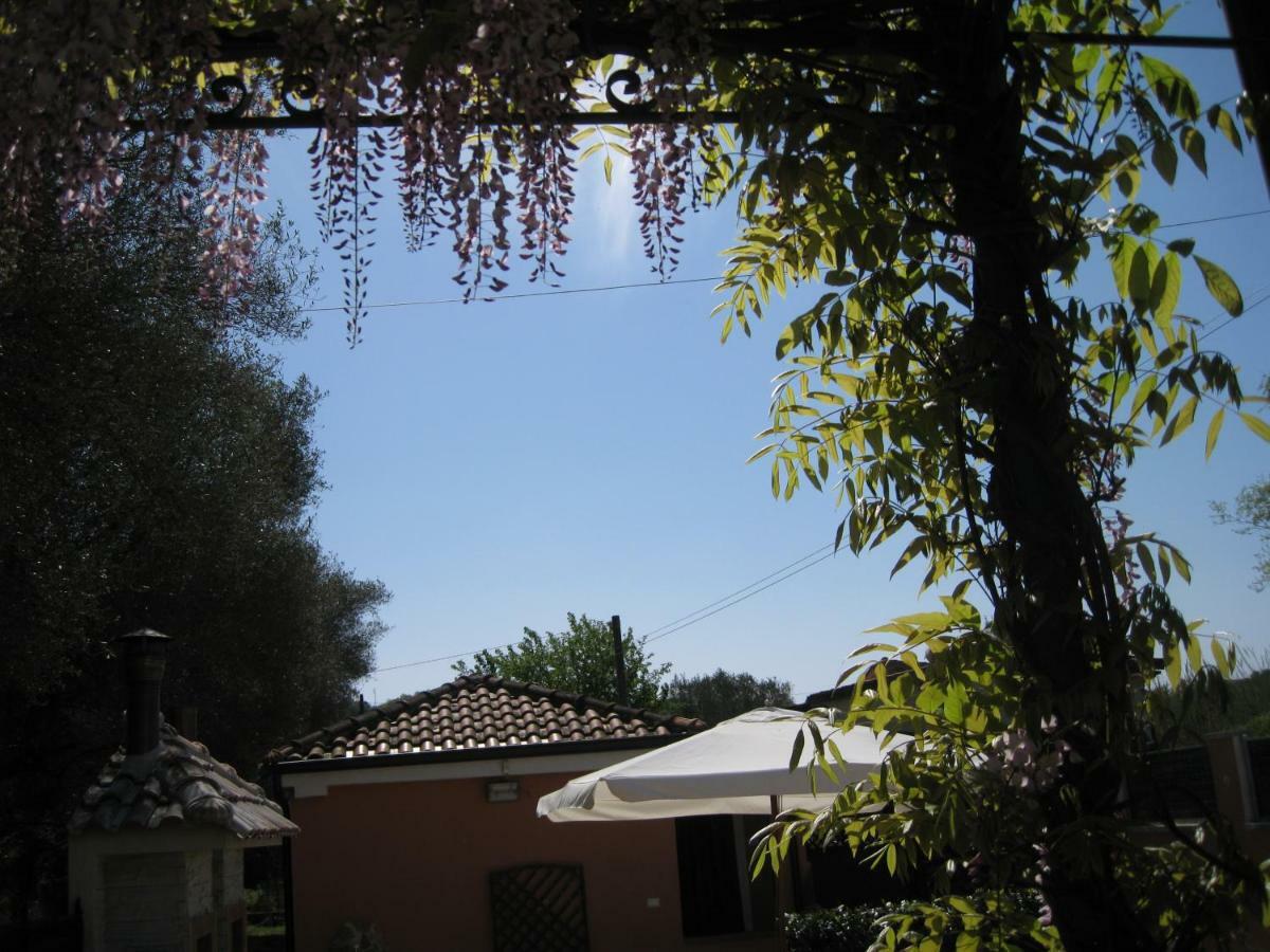 Casa Vacanze Mimose Palinuro Dış mekan fotoğraf
